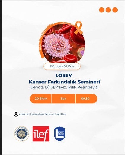 losev_semineri_esitlenmis